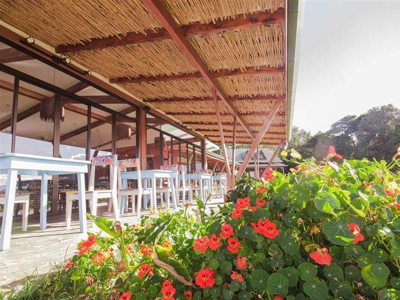 Chayote Lodge Naranjo  Екстер'єр фото
