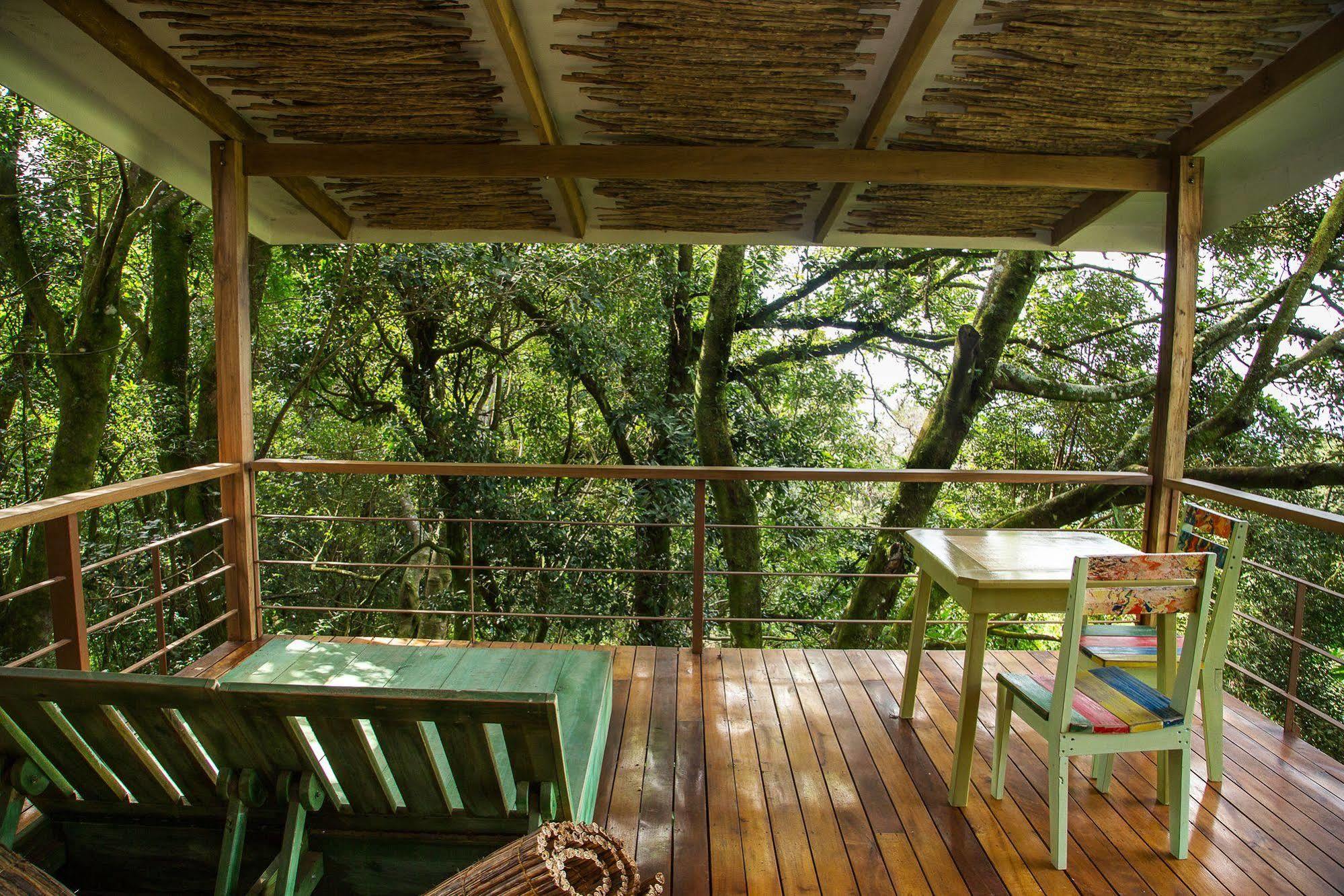Chayote Lodge Naranjo  Екстер'єр фото